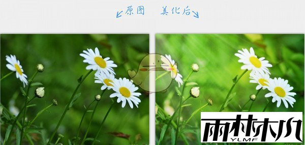 2345看图王官方版