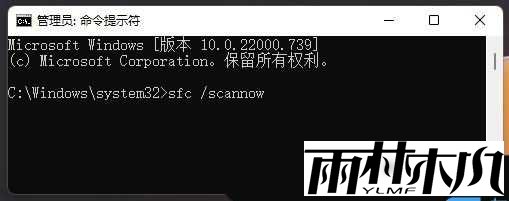 Win11打开设置闪退怎么办
