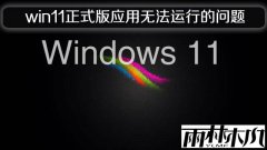 雨林木风win11正式版应用无法运行的问题