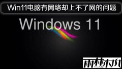 雨林木风Win11专业版有网络却上不了网的问题