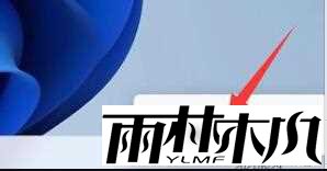 Win11电脑有网络却上不了网怎么办？Win11无法上网的解决方法