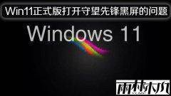 雨林木风Win11正式版打开守望先锋黑屏的问题