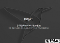 【无广告纯净版】蜂鸟PE-WinPE U盘工具网络维护版
