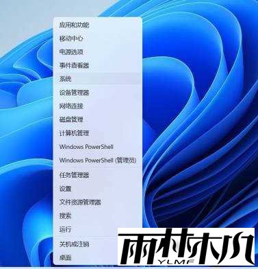 Win11如何关闭开发者模式