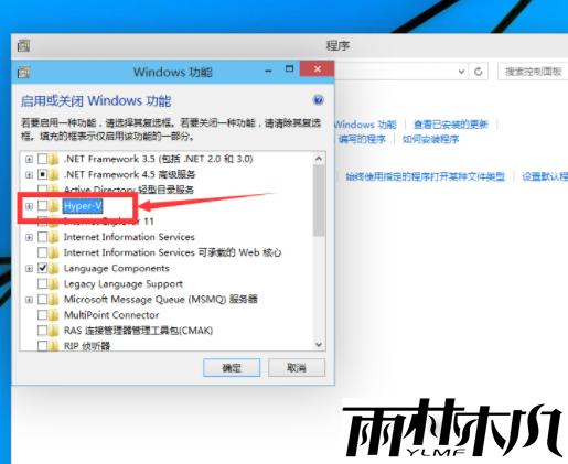 Win10如何开启内置虚拟机？Win10启内置虚拟机的方法