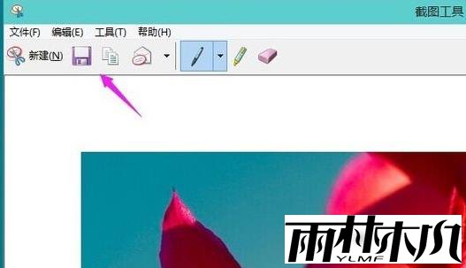 Win11怎么截屏？Windows11截屏怎么使用？