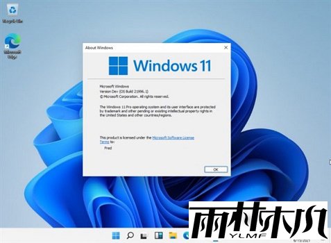 Win11重置失败怎么办？Win11重置失败解决方法